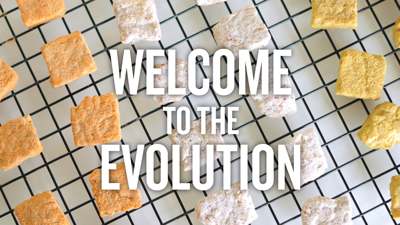 The phrase Welcome to the Evolution on a photo of protein bites.