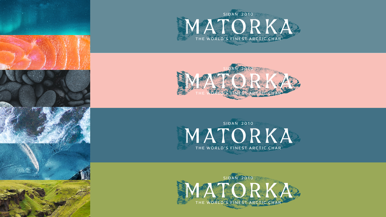 Matorka logo color palette and inspiration from the environment.